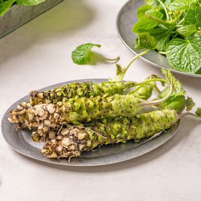 Namdo Wasabi Rhizomes