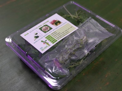 Fresh Wasabi Leaves Ready for Delivery
